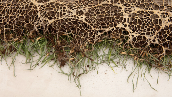 fragment wystawy water pressure